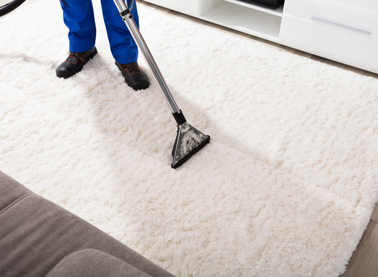 Limpeza de tapetes e carpetes aos melhores preços